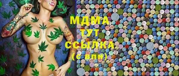 гидра Алексеевка