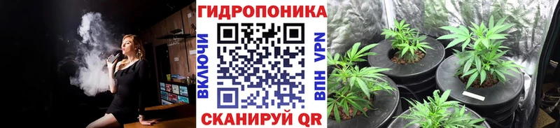 Бошки марихуана конопля  Астрахань 